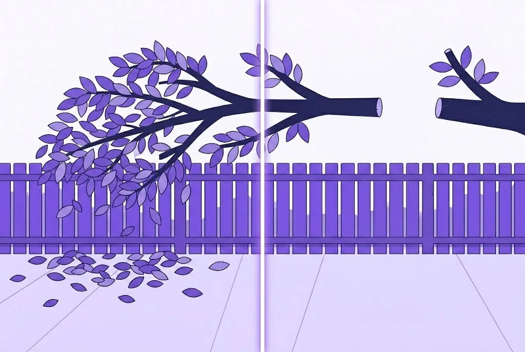 Split illustration demonstrating overhanging tree laws, showing a nuisance branch over a garden fence on one side, and the same branch legally cut exactly at the property boundary line on the other.